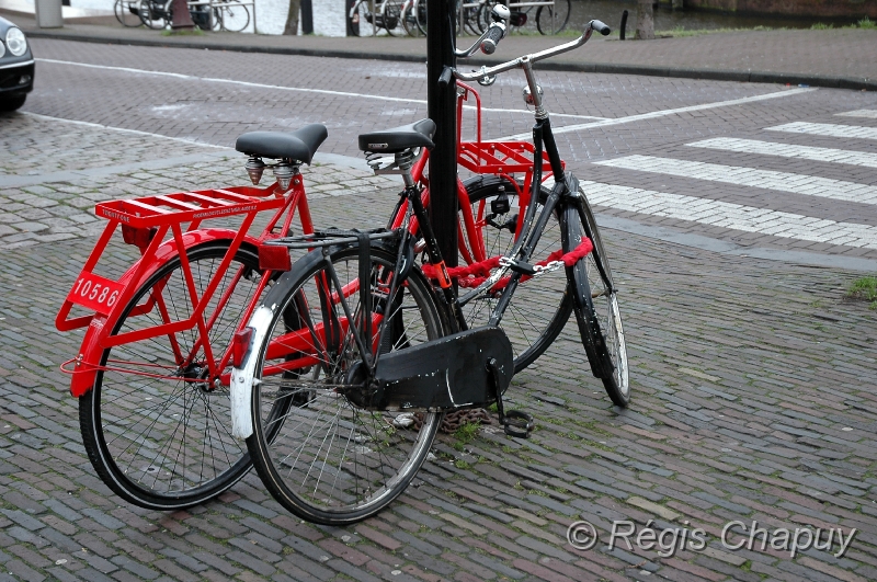 Amsterdam (2).JPG
